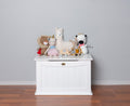 Toy Box White